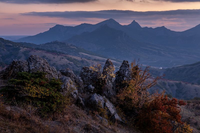 цвет осениphoto preview