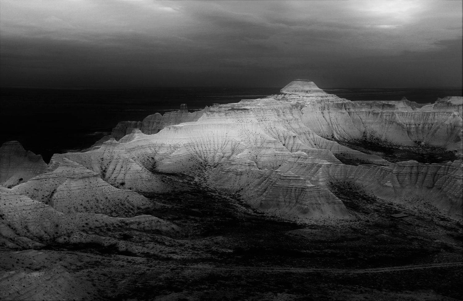 , Максимушкина Ольга