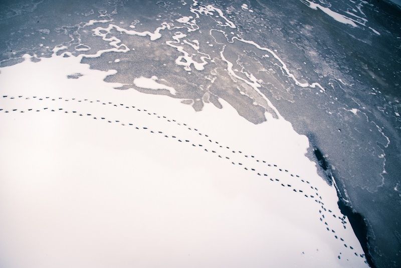 Земляphoto preview