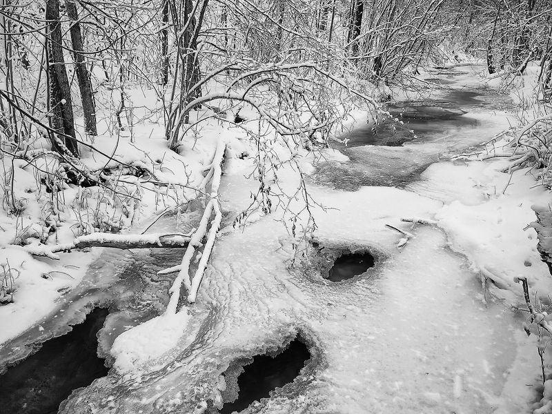 В ожидании морозовphoto preview