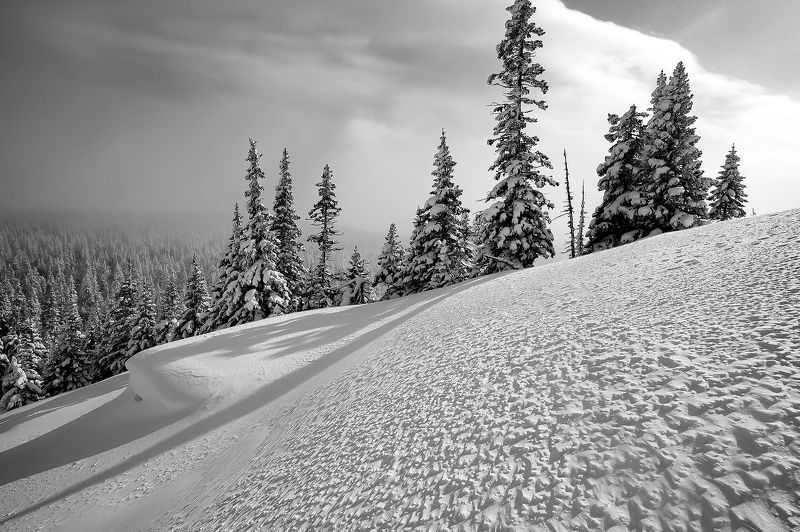 Зигальгаphoto preview