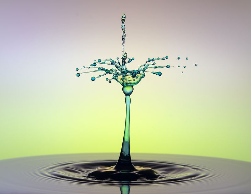 WATER,LIQUID,SPLASH PHOTOGRAPHY,ABSTRACT,TIME STOP,SPEED LIGTH,YOUSEF SAYADI,BLUE,YELLOW,MAGENTA,LIQUID ART,ABSTRACT ART,DROPS,MACRO,REFLECTIVE,HIGH SPEED PHOTOGRAPHY Dancing Dropsphoto preview