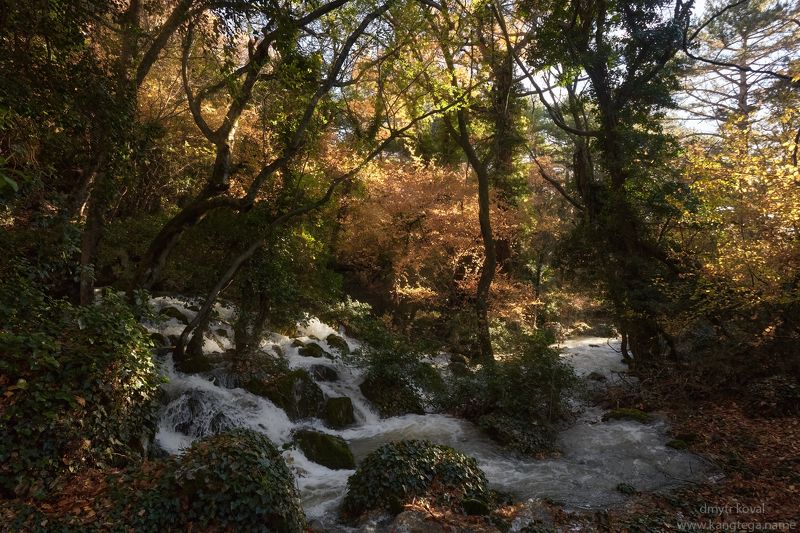 дмитр коваль, гималаи и крым вне треков Пенное кружево леса осенних сияний фото превью
