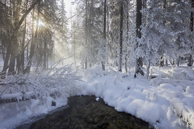 Зимняя сказкаphoto preview
