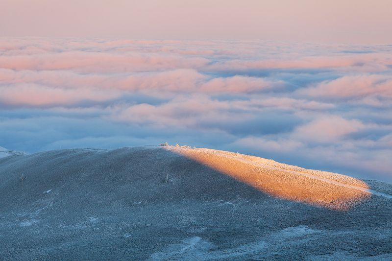 winter, bieszczady, tree, forest, mountains, snow, frozen Szeroki Wierchphoto preview