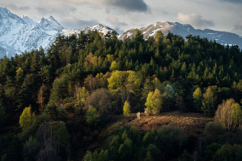 landscape, mountains, ingushetia, green, field, пейзаж, кавказ, природа, горы, ингушетия, лес Cropped by the lightphoto preview