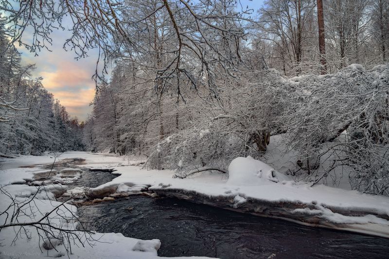 линдуловская роща, ленинградская область ***photo preview