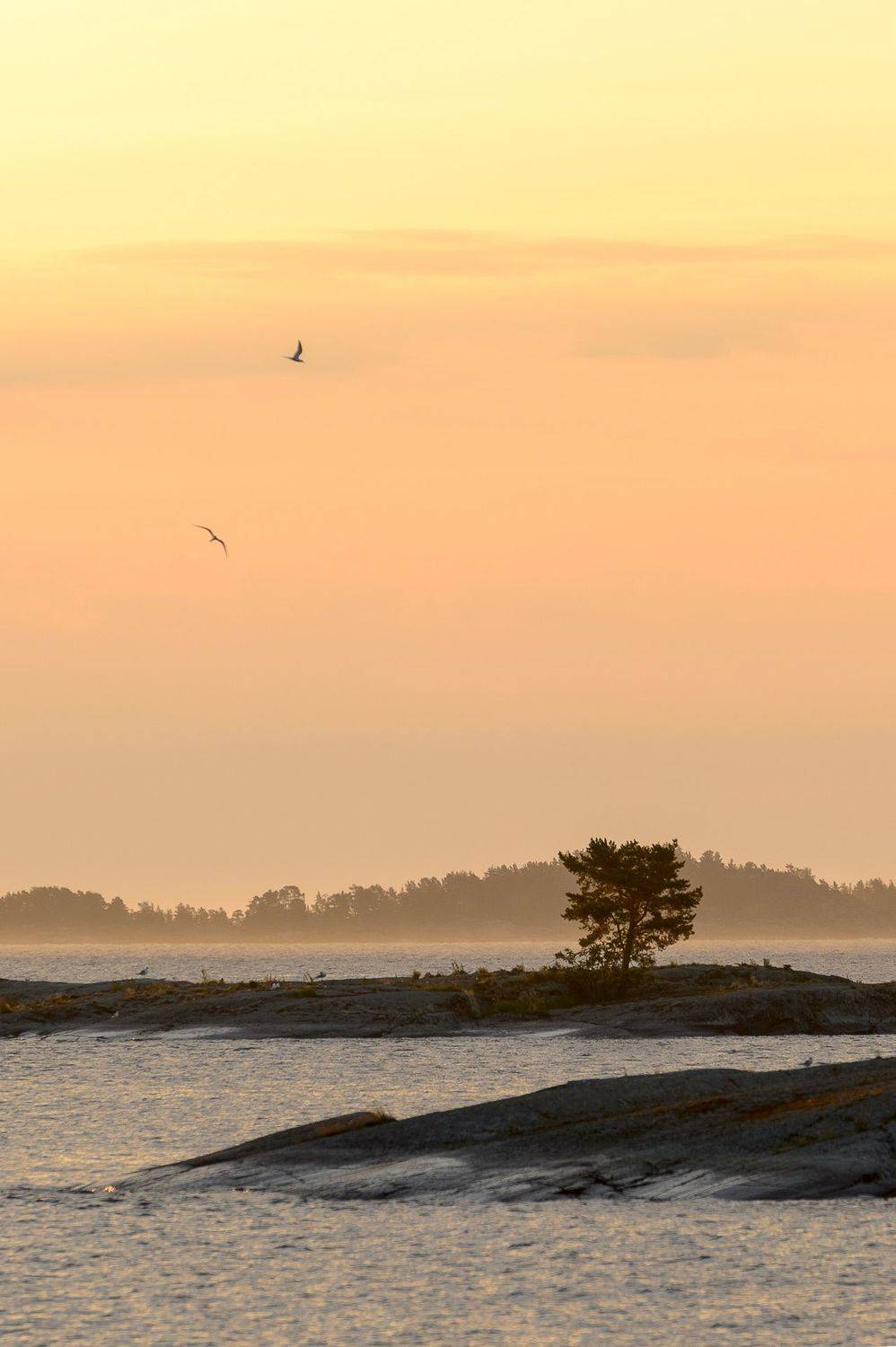 карелия, лето, Юлия Лаптева