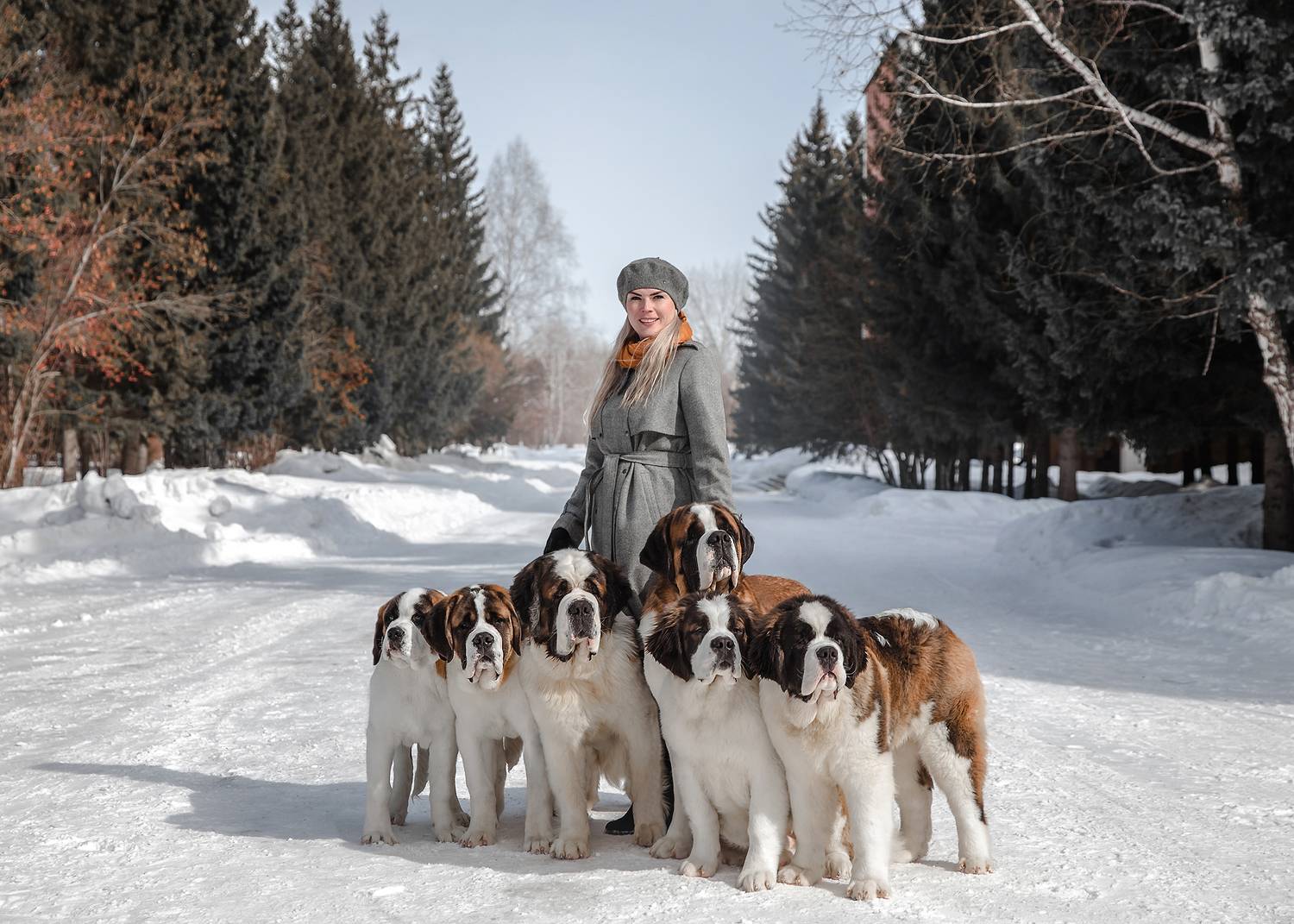 , Бурмистрова Ольга