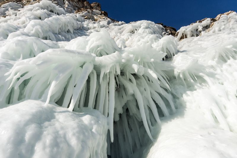 Байкальские сокуиphoto preview