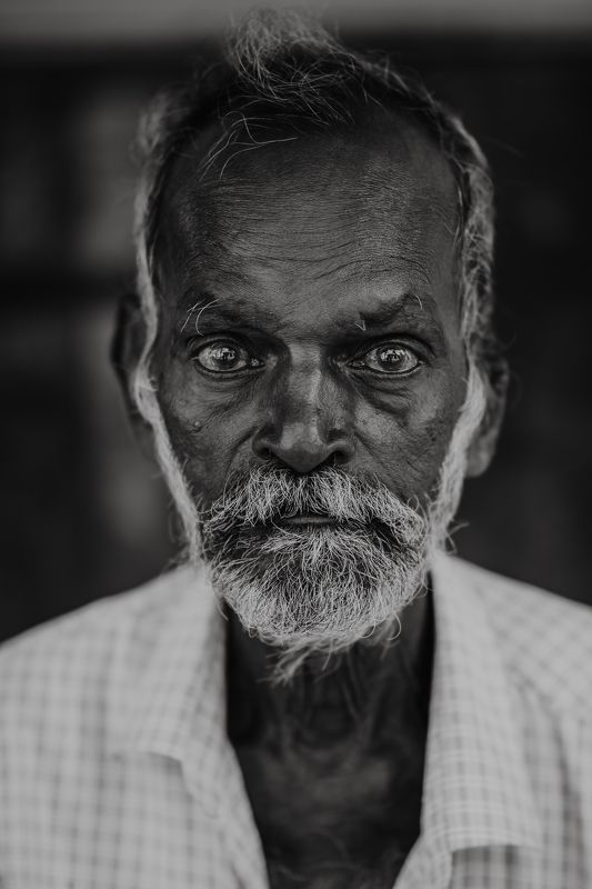 Male Portraitphoto preview