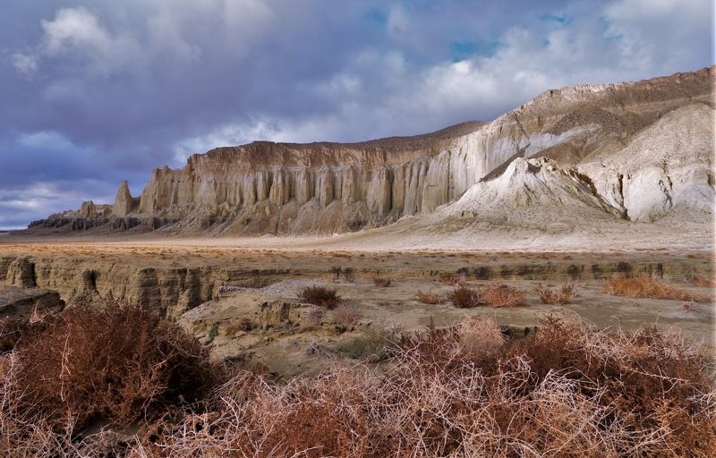 айракты шаманай, казахстан, мангистау, горы, останцы, осень, природа, пейзаж, путешествие, туризм, медовый, рыжий, коричневый, яркие краски, флора Айракты Шаманай, Казахстан фото превью