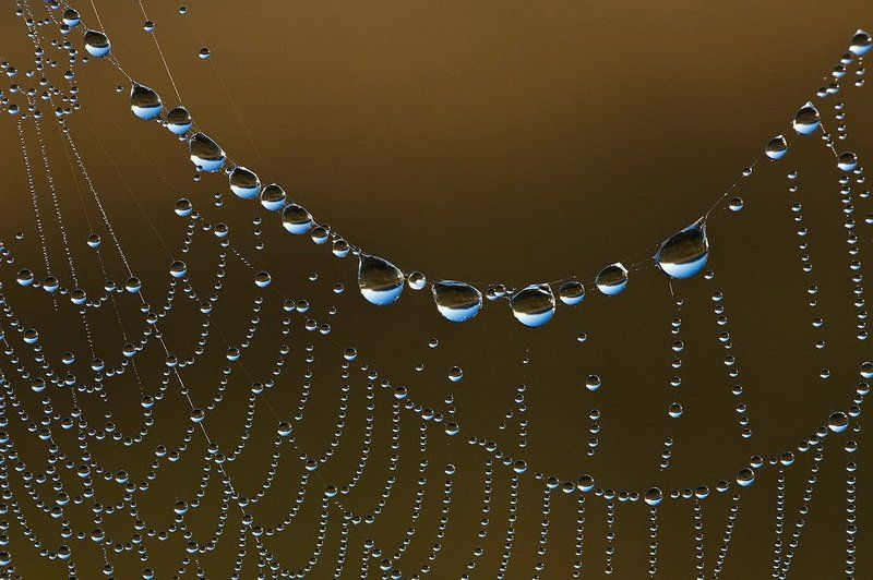 Хрусталикиphoto preview