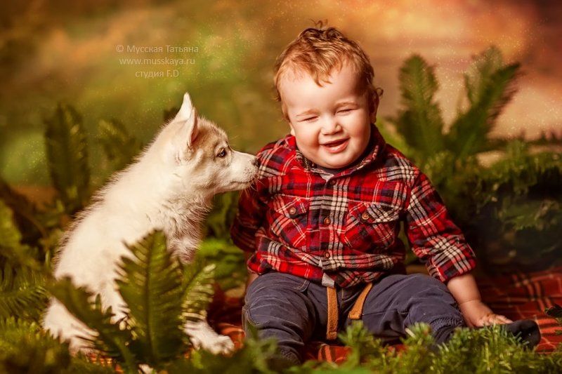 фотосессия, с, хаски photo preview