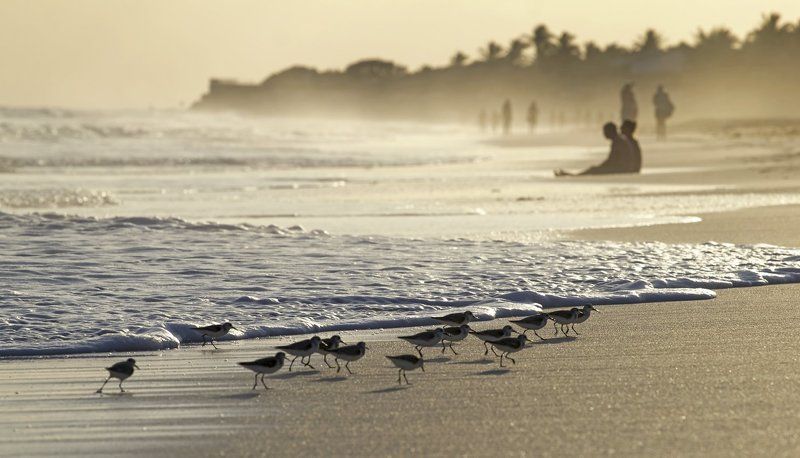 Настроениеphoto preview