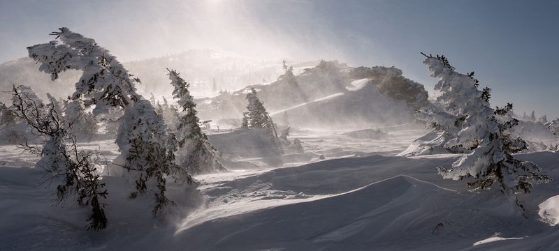 Симфония ветраphoto preview