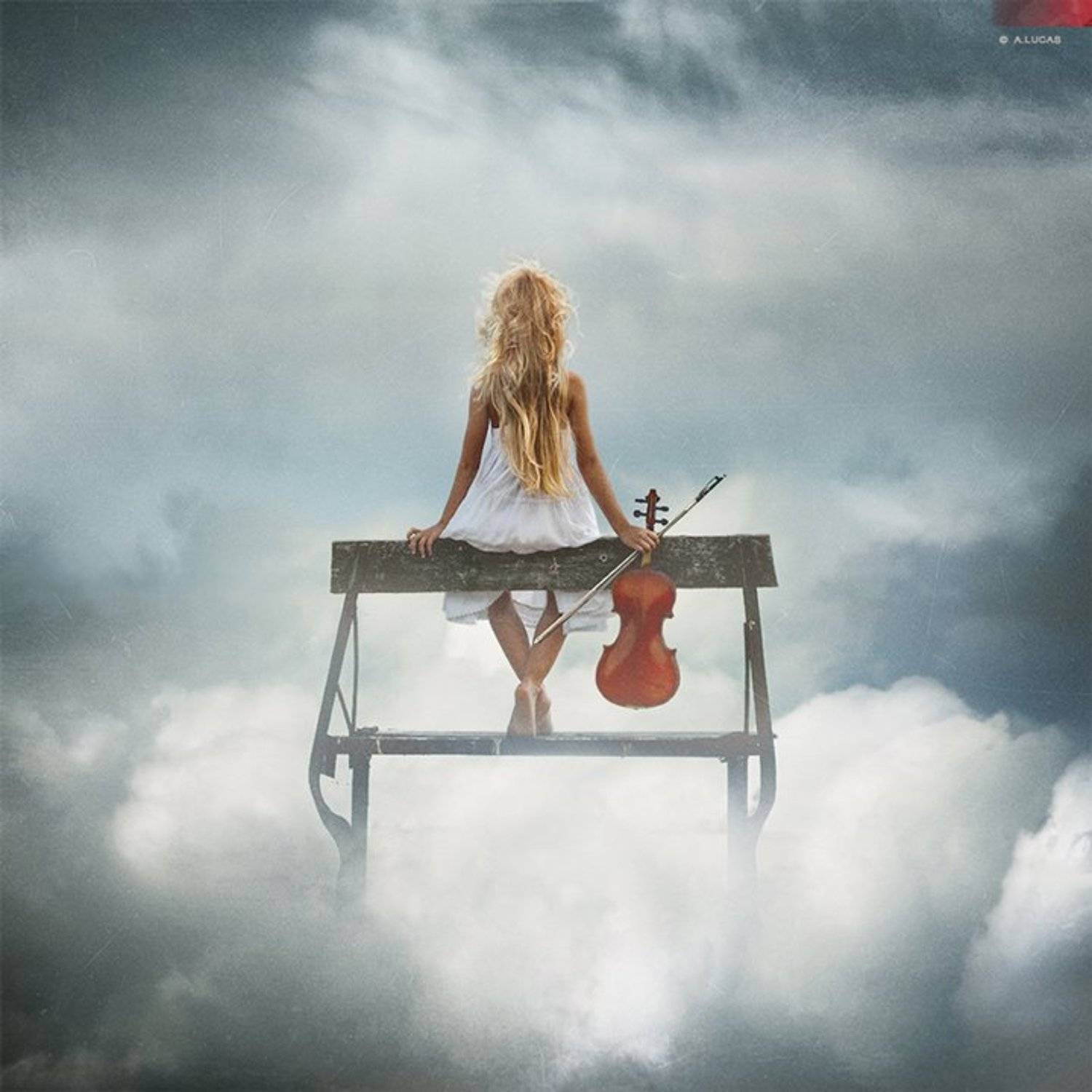 MADE IN HEAVEN. Автор: Andrew Lucas , Andrew Lucas