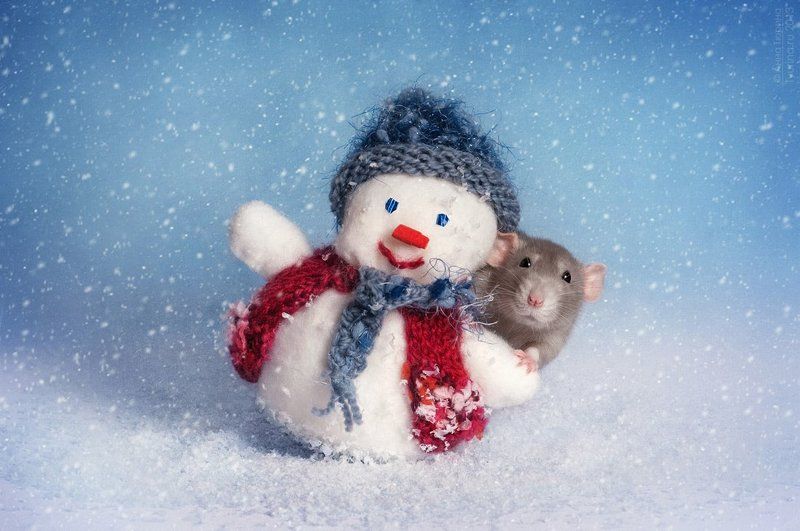 Новогодняя открыткаphoto preview