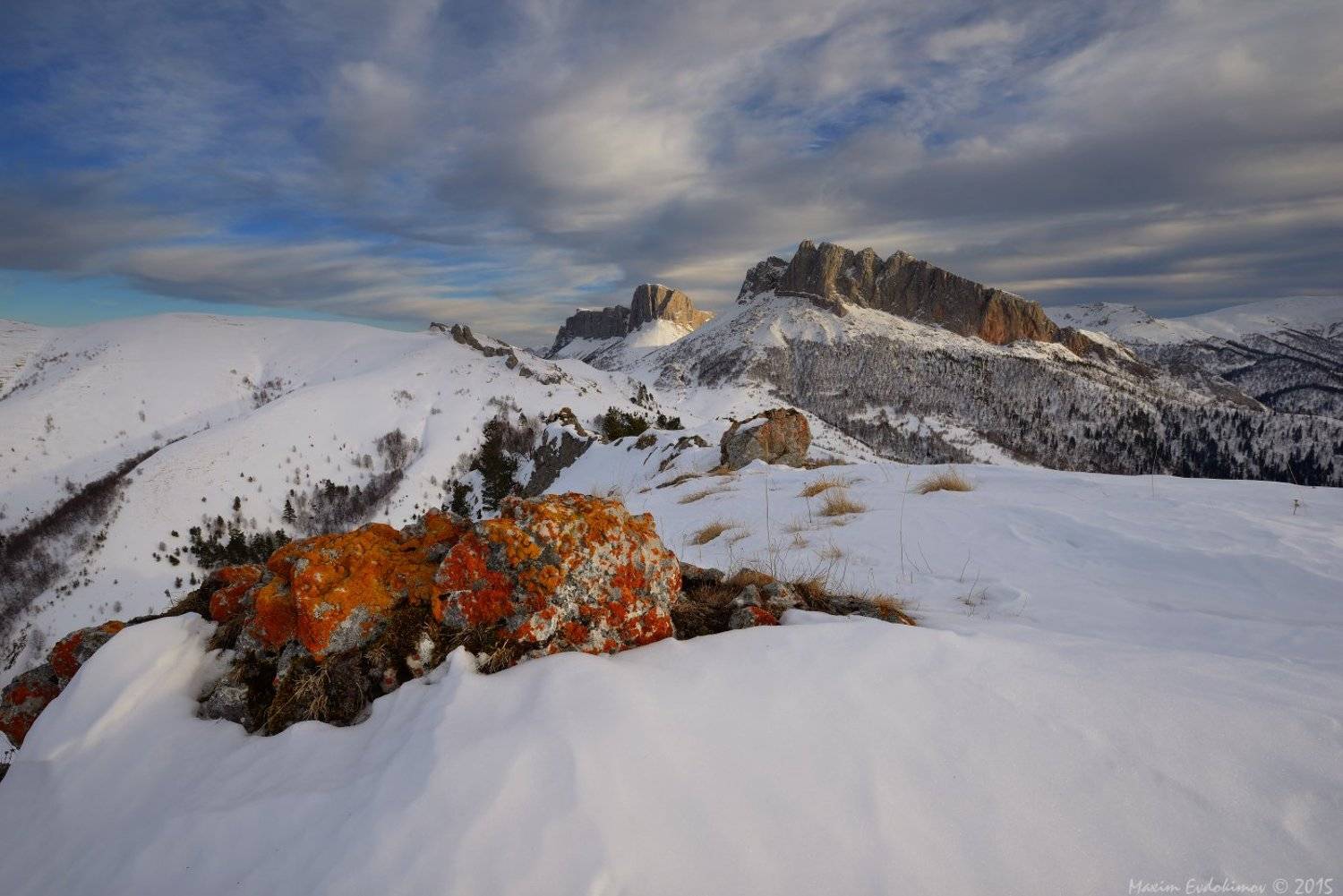 , Максим Евдокимов
