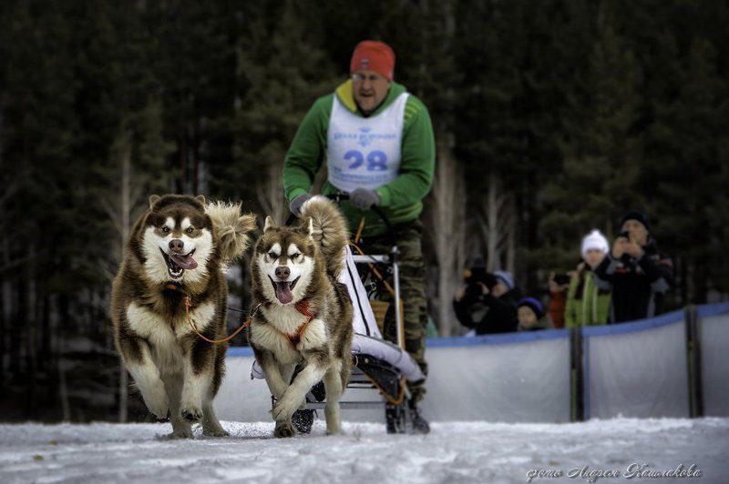 Нас не догонят?photo preview