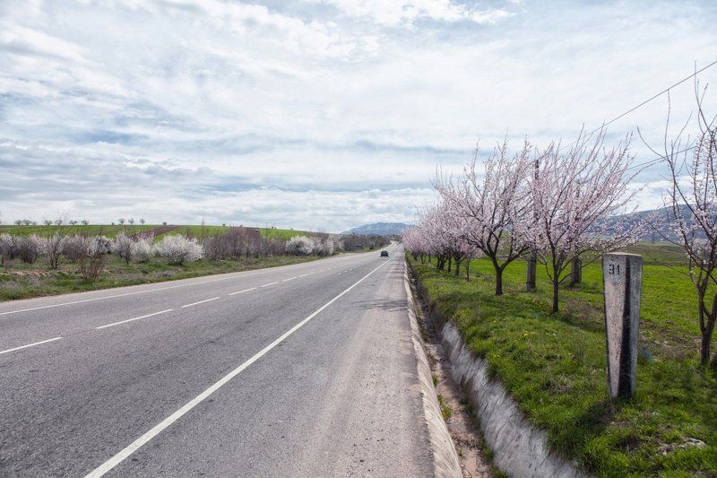 Вахш, Водохранилище, Нурек Поездка в Нурекphoto preview