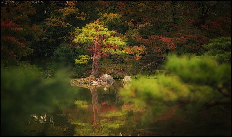 Парк Кинкакудзиphoto preview