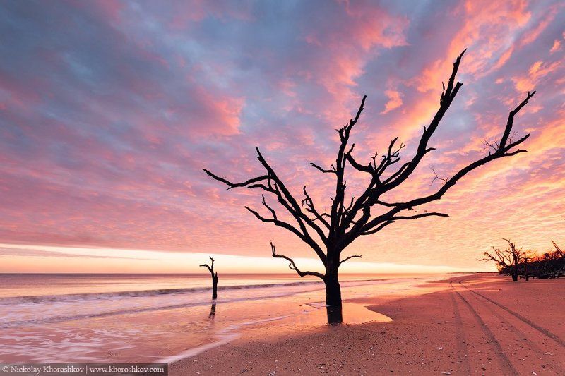 #BotanyBay, #SouthCarolina, Usa Закат догоралphoto preview