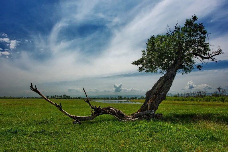 И баргузинские какие там ветра... фото превью