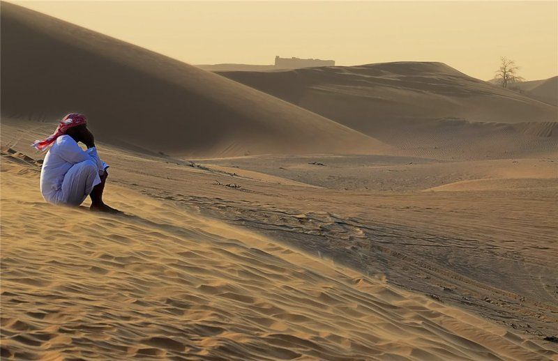 Money .........photo preview