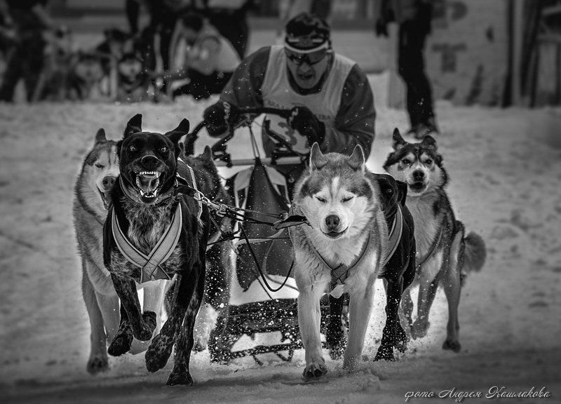 Чёрный...photo preview