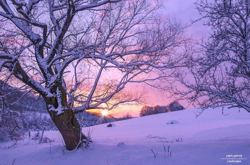 Pod bodom mrazuphoto preview