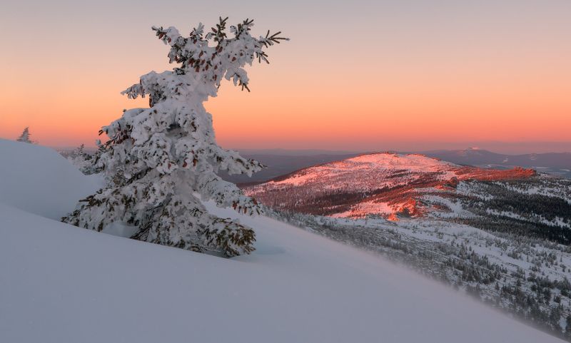 В розовых мечтахphoto preview