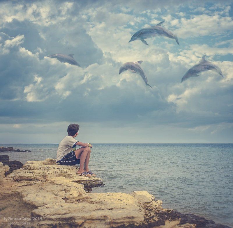 Дельфины, Море, Ребенок ...photo preview
