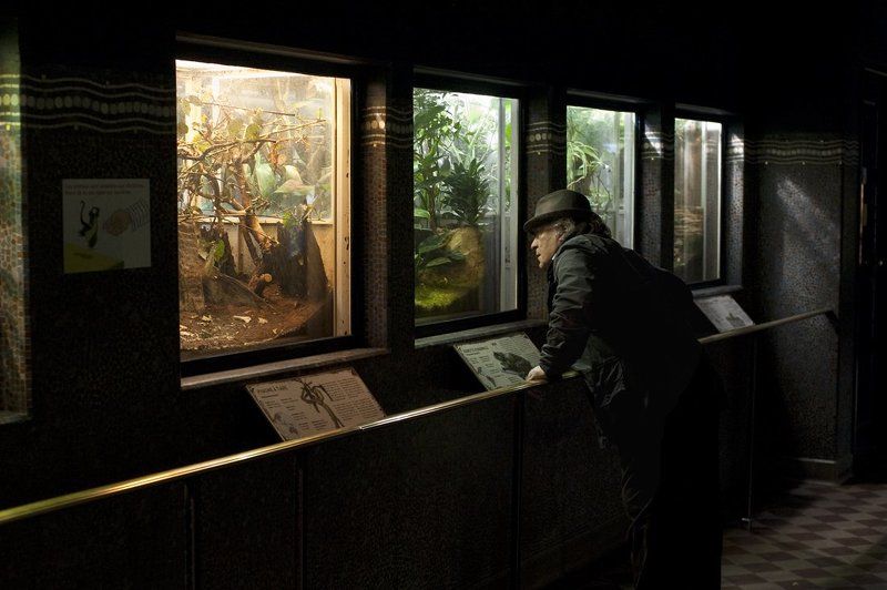 Vivarium#2photo preview