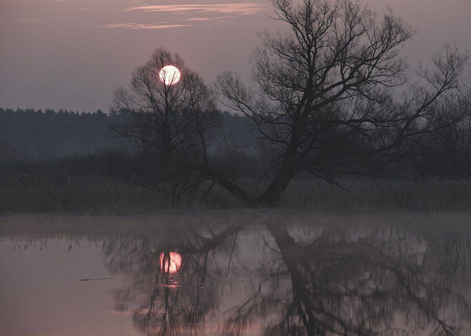 река воронеж,природа ,россия,восход,пады, Мазурин Евгений