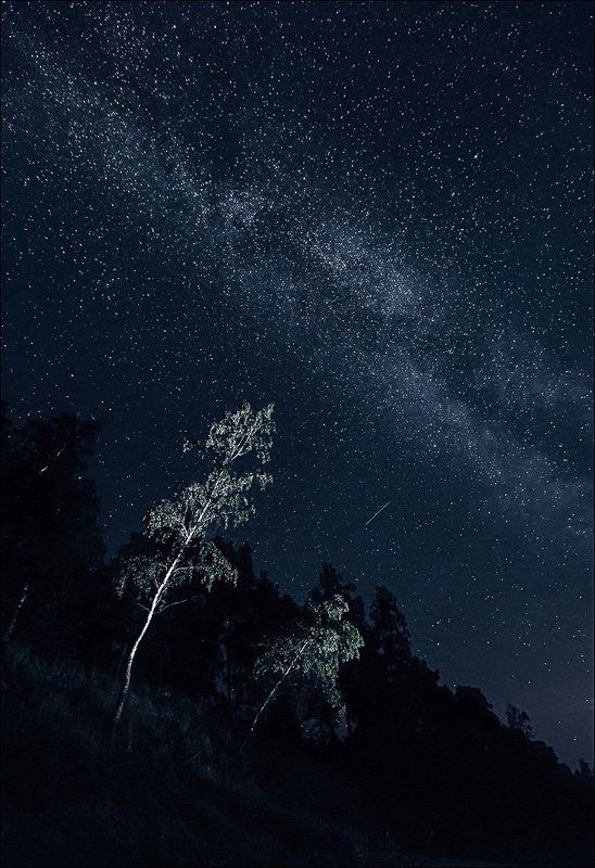 Baltic sea, Canon, Landscape, Long exposure, Sea, Stars, Деревья, Длинная выдержка, Звёзды, Камни, Латвия, Луна, Море, Небо, Ночной пейзаж, Ночь, Пейзаж, Цвет Латвийские ночи.photo preview