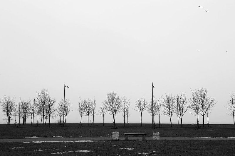 Black & white, Black and white, Cold, Ice, Saint-petersburg, White, Winter, Горизонт, Зима, Лед, Минимализм, Холод M/N/MAL/SMphoto preview