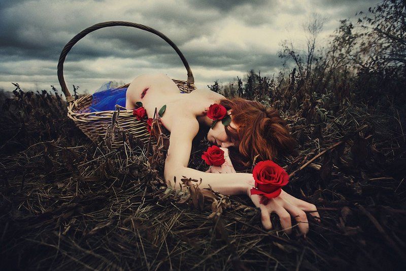 Перерождение фото превью