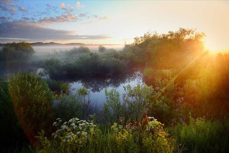 Balabanovip, Балабанов, Природа, Рай, Рассвет, Солнце, Утро Маленький райphoto preview