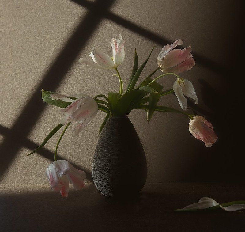 На закате дня...photo preview