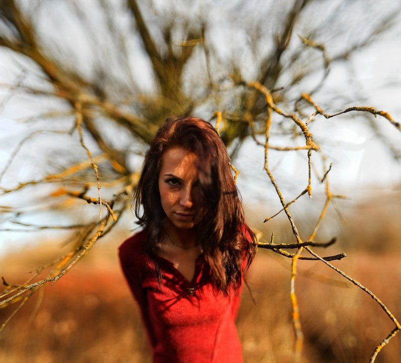 Color, Mood, Portrait, Red, Salamander, She, Toxic, Tree Salamandraphoto preview
