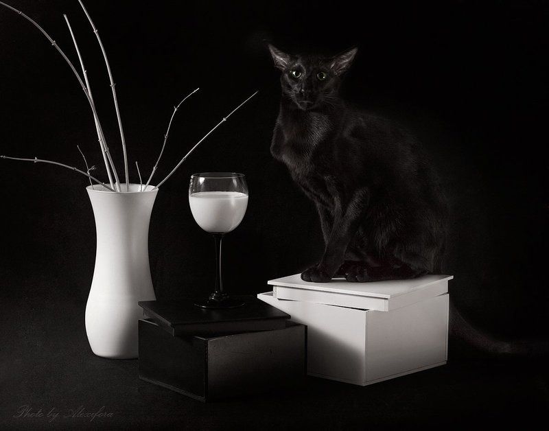 По натуре я блондинphoto preview