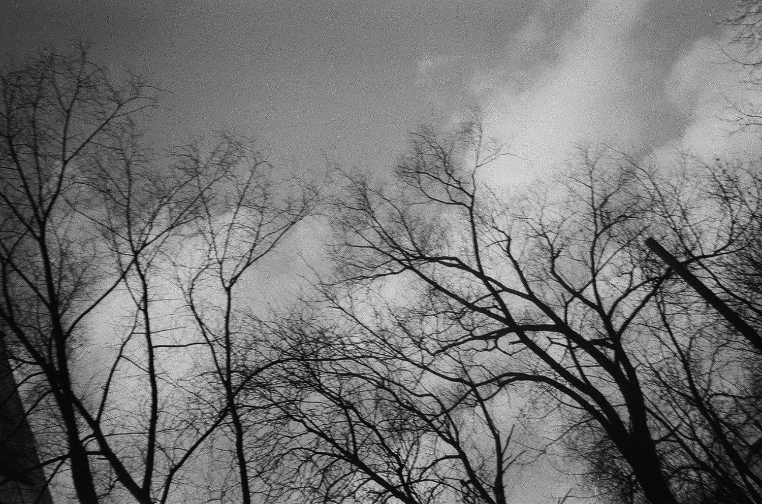 Автор: Ефремов Андрей МИ₽ , Ефремов Андрей МИ₽