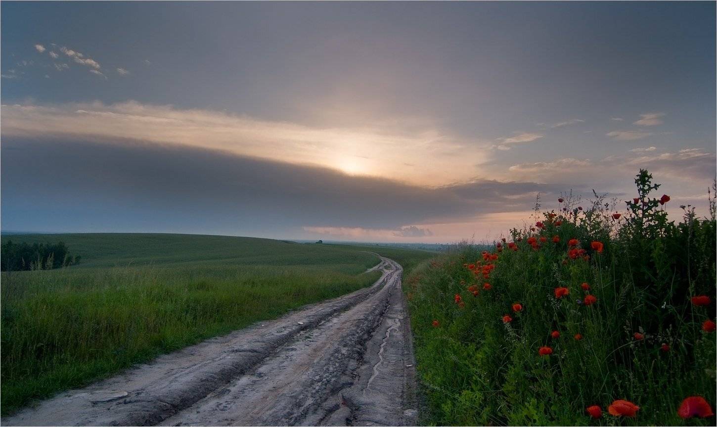 дорожки наши полевые.... Автор: Николай Шахманцир , Николай Шахманцир
