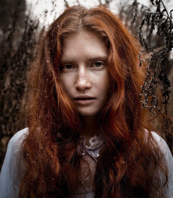 2013, Лес, Саша Александраphoto preview