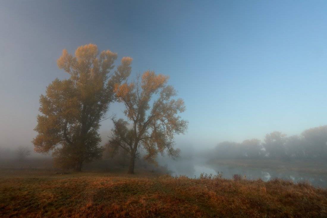 СТРУИТСЯ В ТУМАНЕ РАССВЕТ. Автор: Петриченко Валерий , Петриченко Валерий