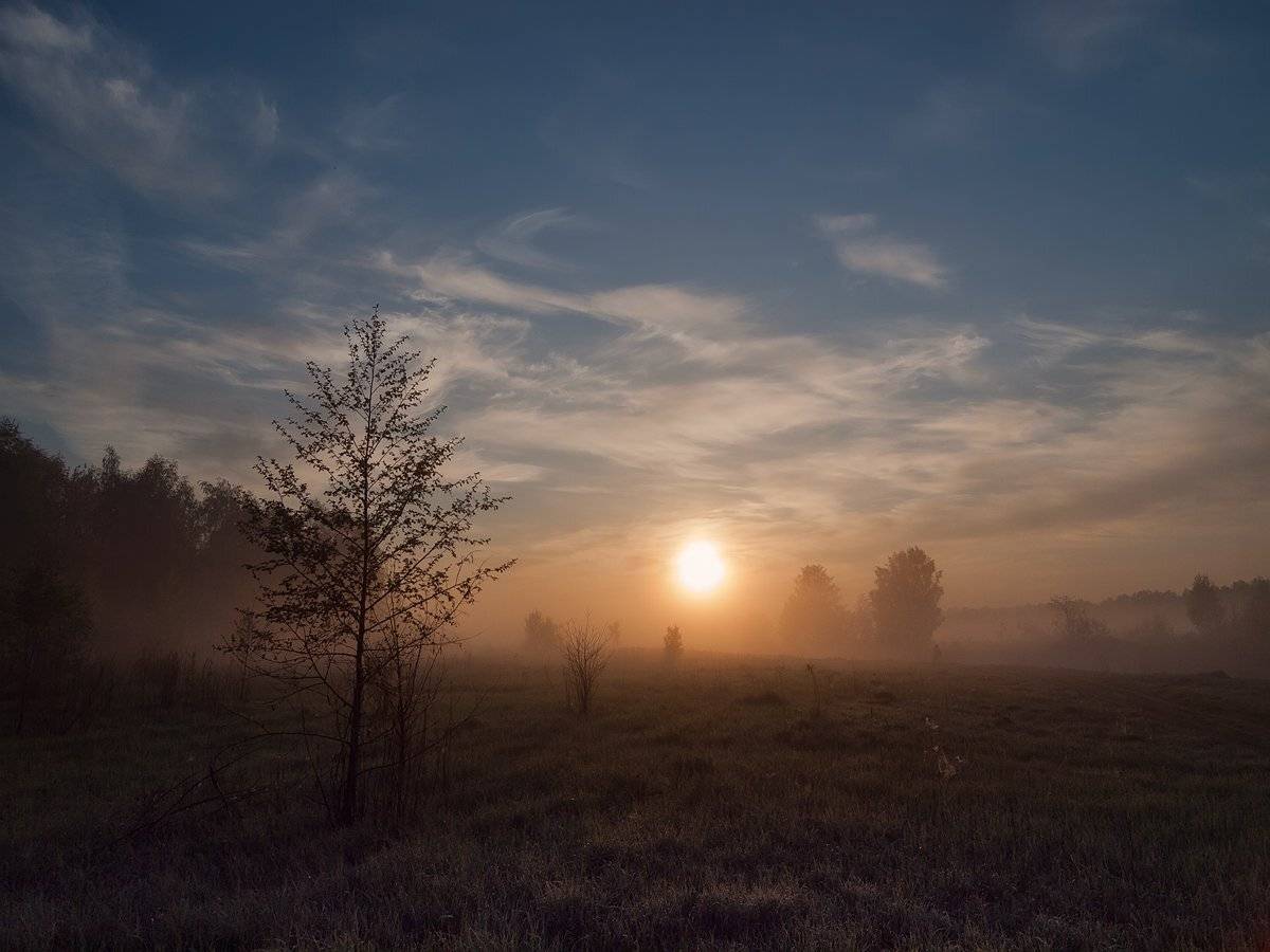 , Владимир Перепечаев