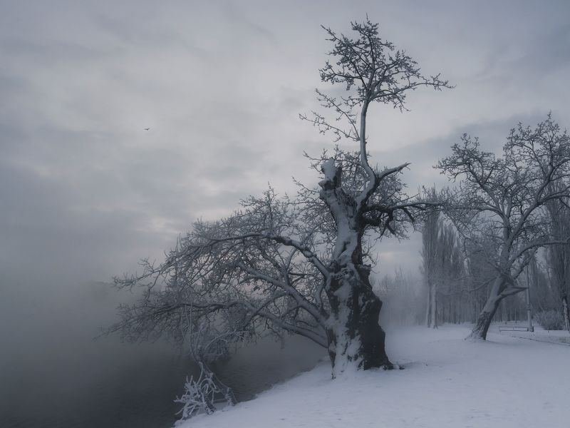 В зимнем  паркеphoto preview