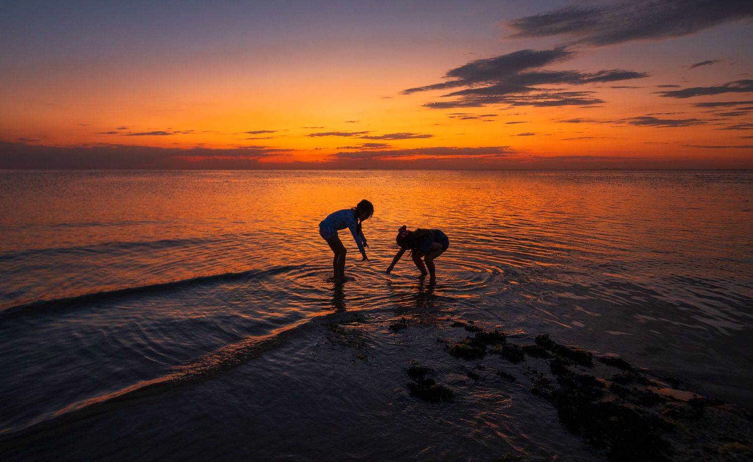 Автор: Derek Zhang , Derek Zhang