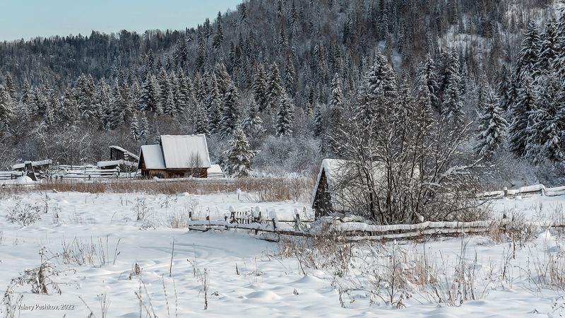 с рождеством!, зима, снежные кружева, снег, пихты, кедры, березы, горная шория Шорские этюдыphoto preview